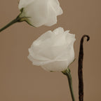 AURA Perfume