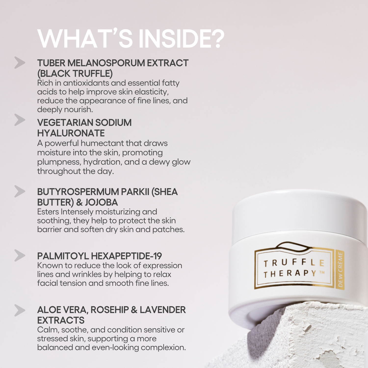 Truffle Therapy Moisture Dew Day Crème