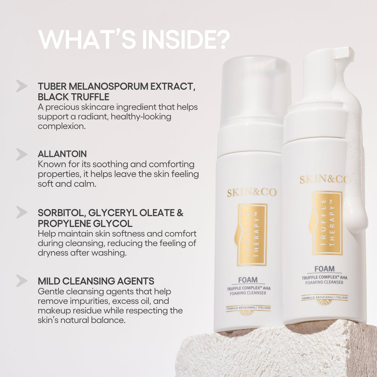 The Foaming Cleanser