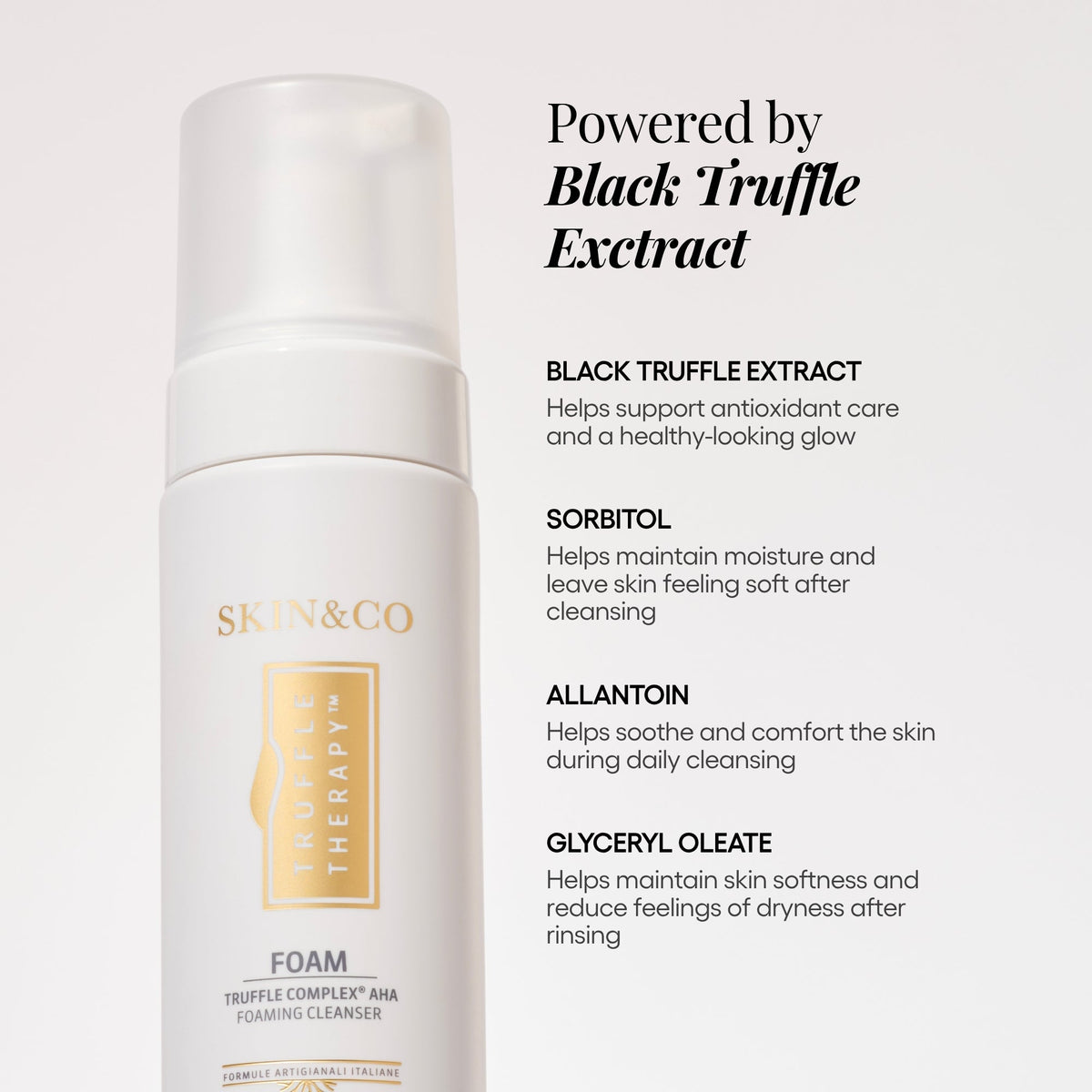 The Foaming Cleanser