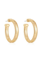 Flex Hoops
