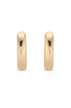 Small Thick Classic Hoops