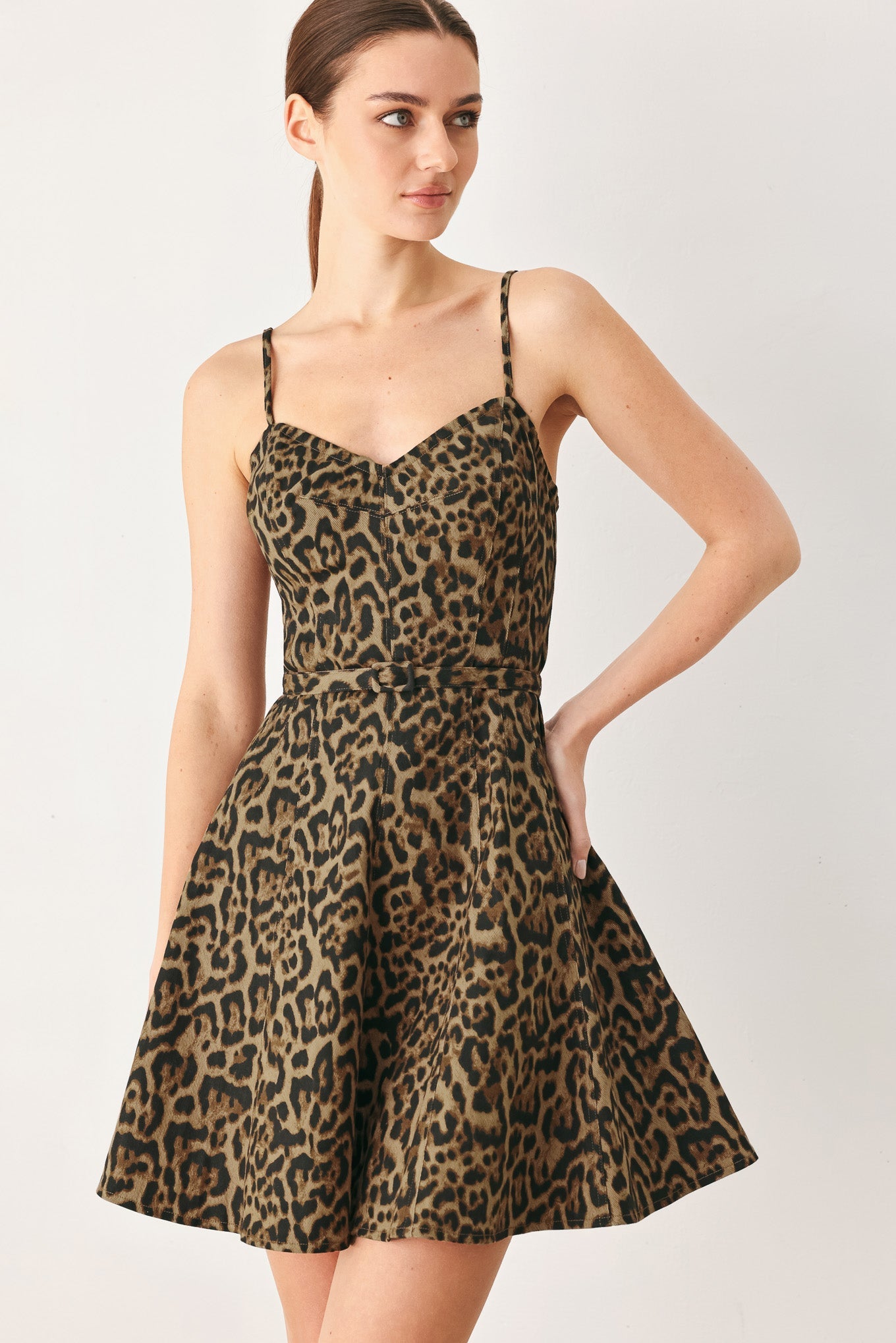 Leopard Sweetheart Mini Dress