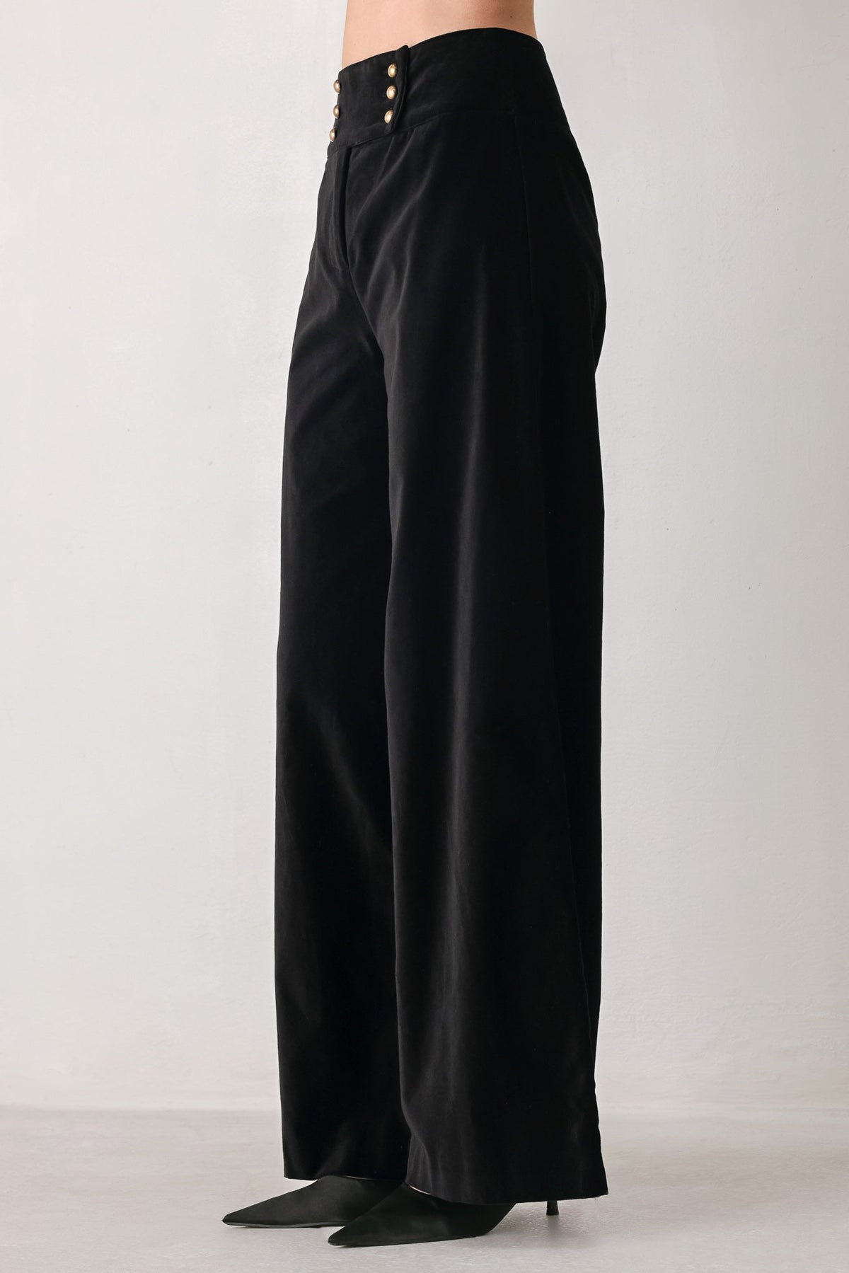 Velvet Command Black Button-Waist Wide-Leg Pants