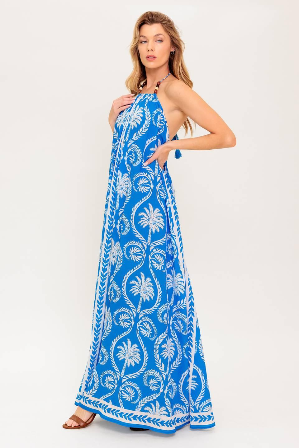 For the Dreamers Blue Maxi Dress