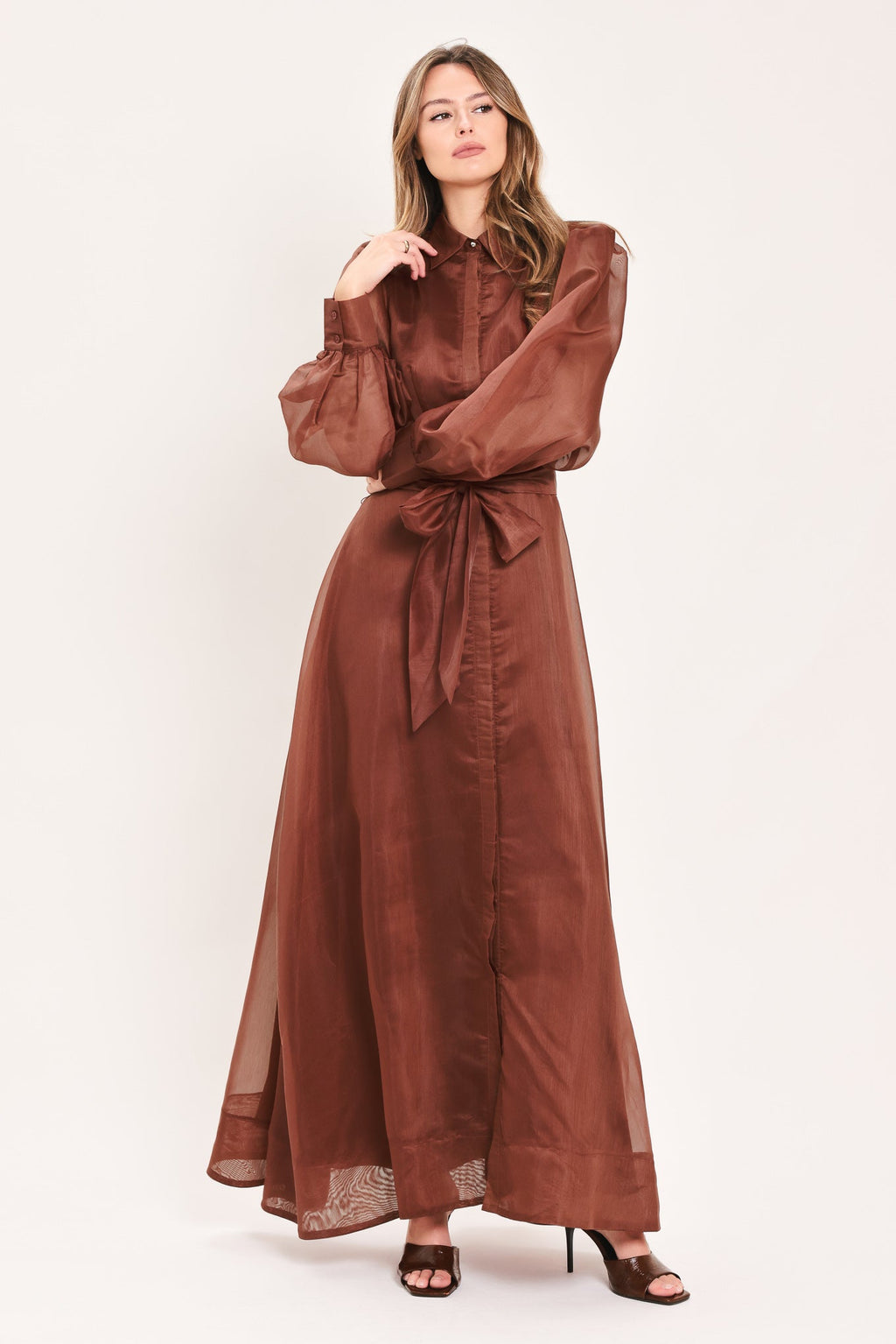 Cedarlight Embrace Organza Maxi Dress