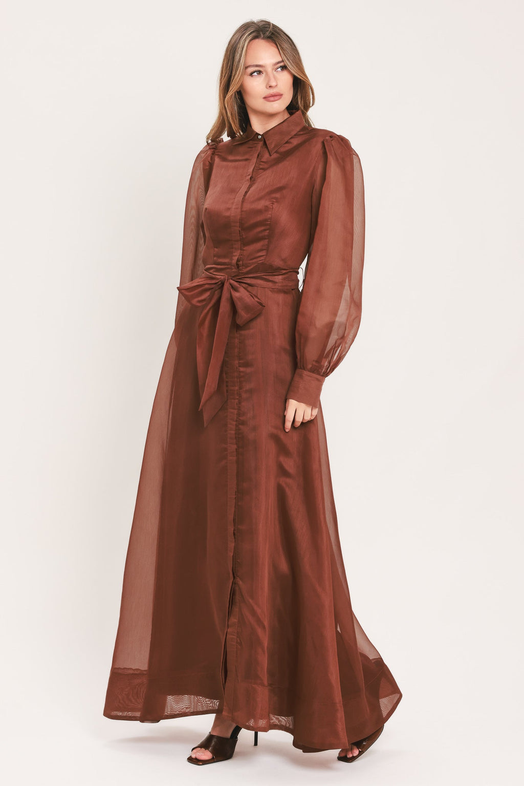 Cedarlight Embrace Organza Maxi Dress
