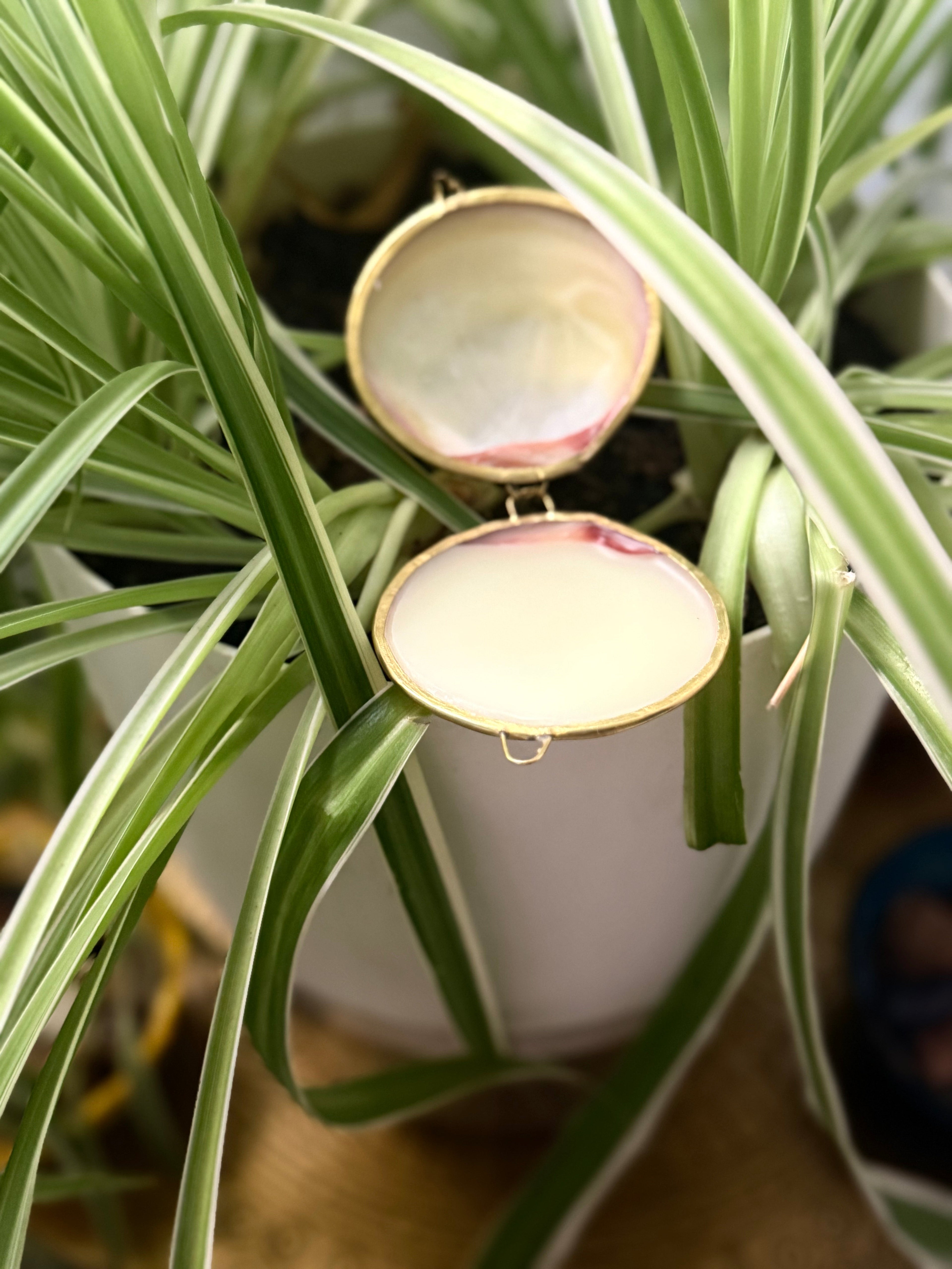 New! Prickly Pear Magnolia Restorative Body Balm