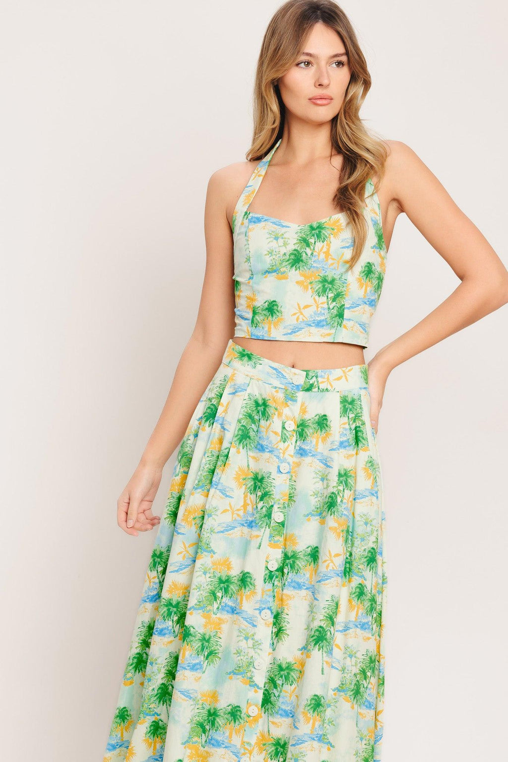 Picture Perfect Woven Top And Skirt Set