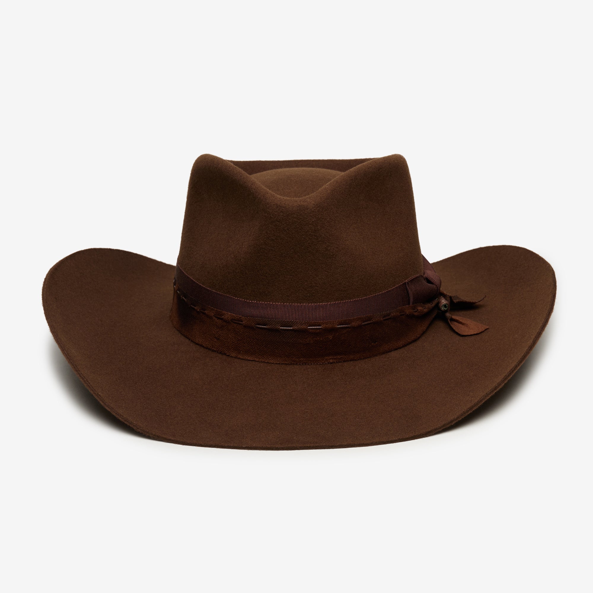 Yellowstone in Brown