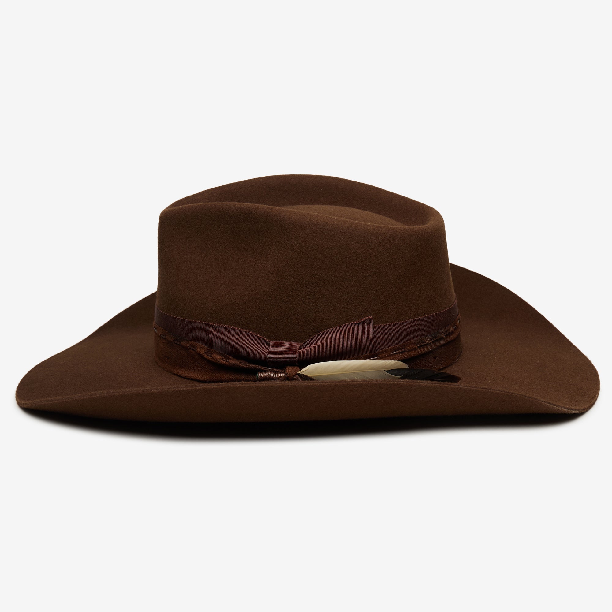 Yellowstone in Brown