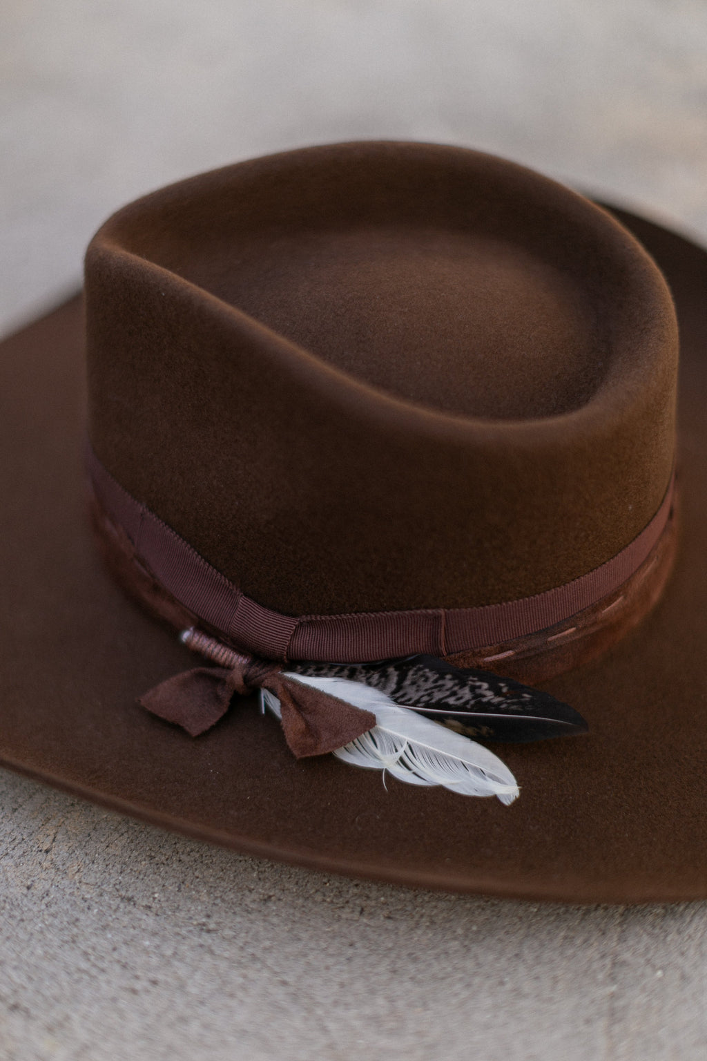 Yellowstone in Brown