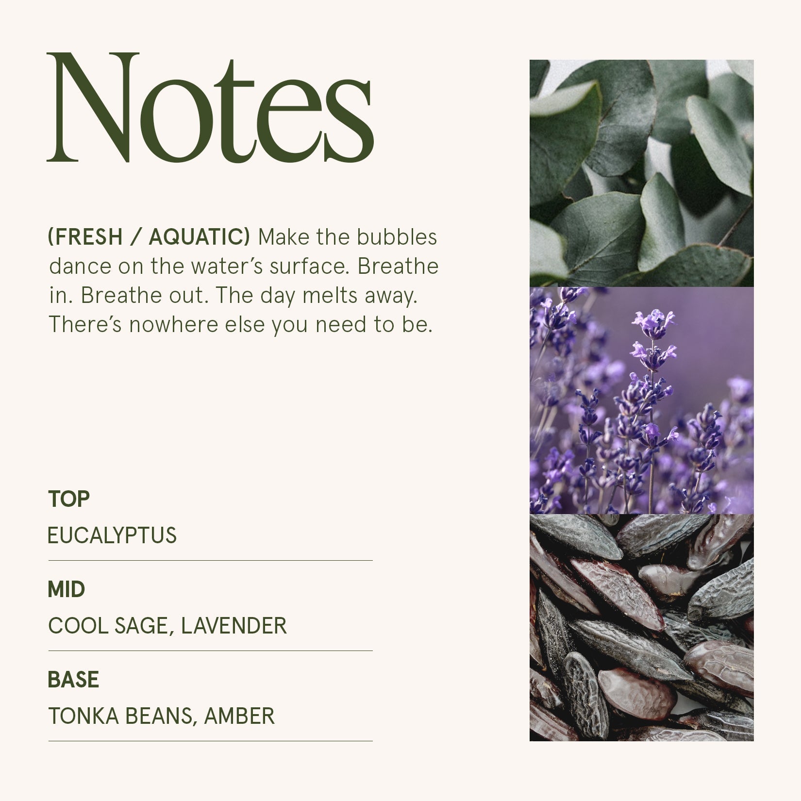 Maelyn - Eucalyptus & Alpine Sage 12oz Candle