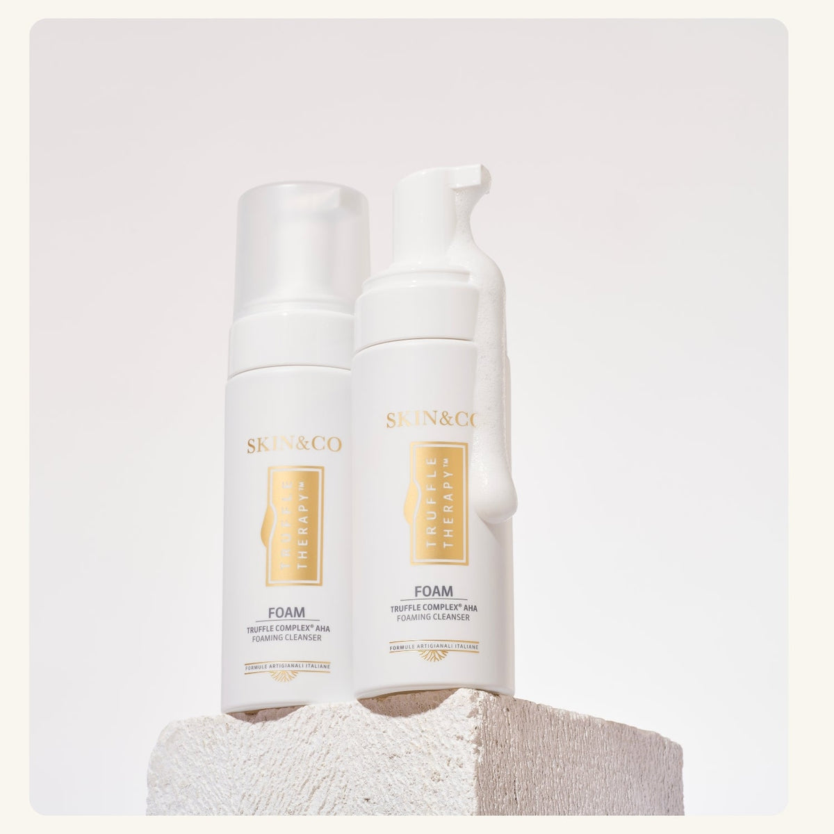 The Foaming Cleanser
