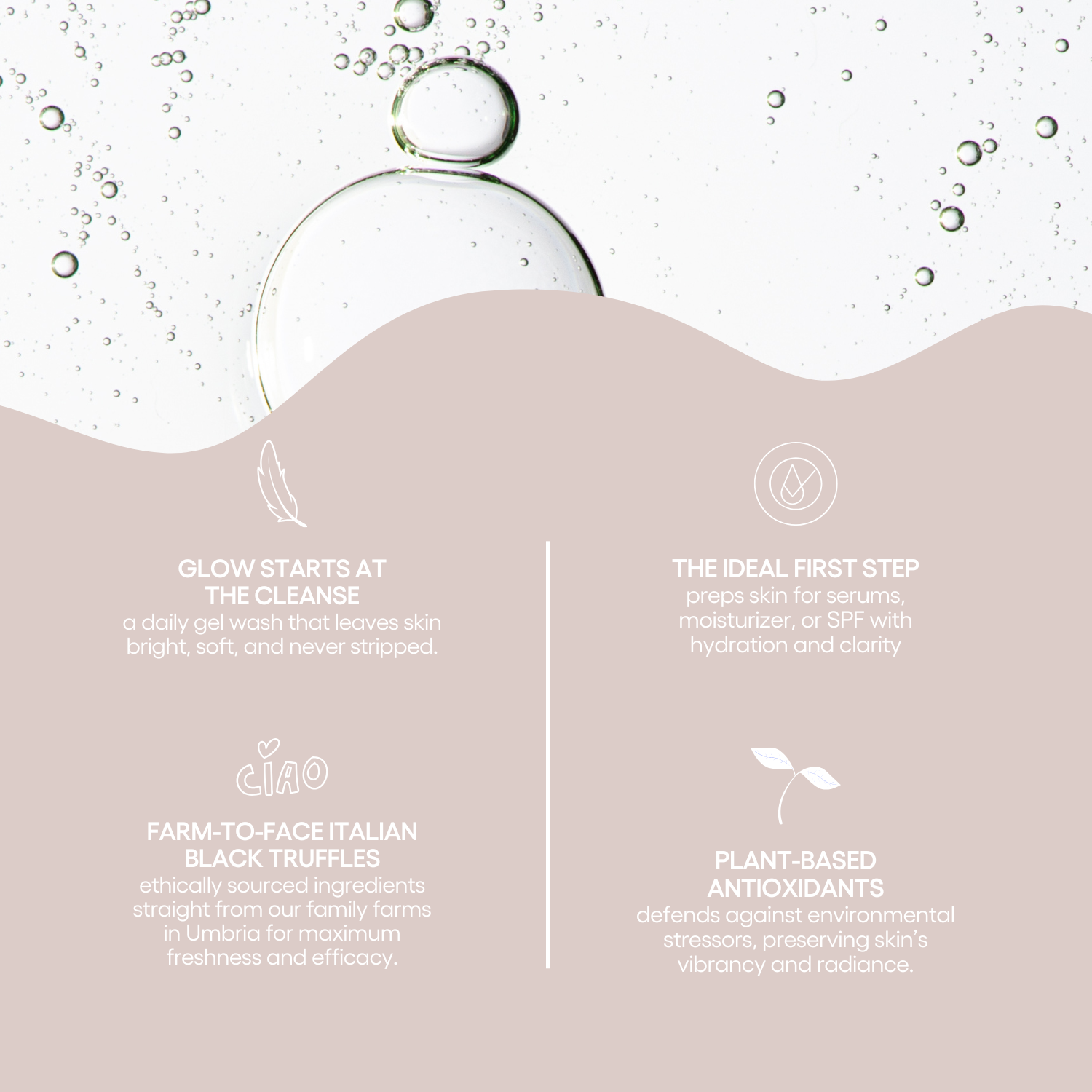 Truffle Therapy Morning Dew