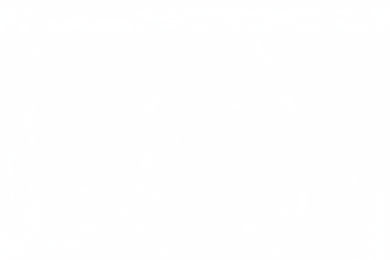 Blank white size chart