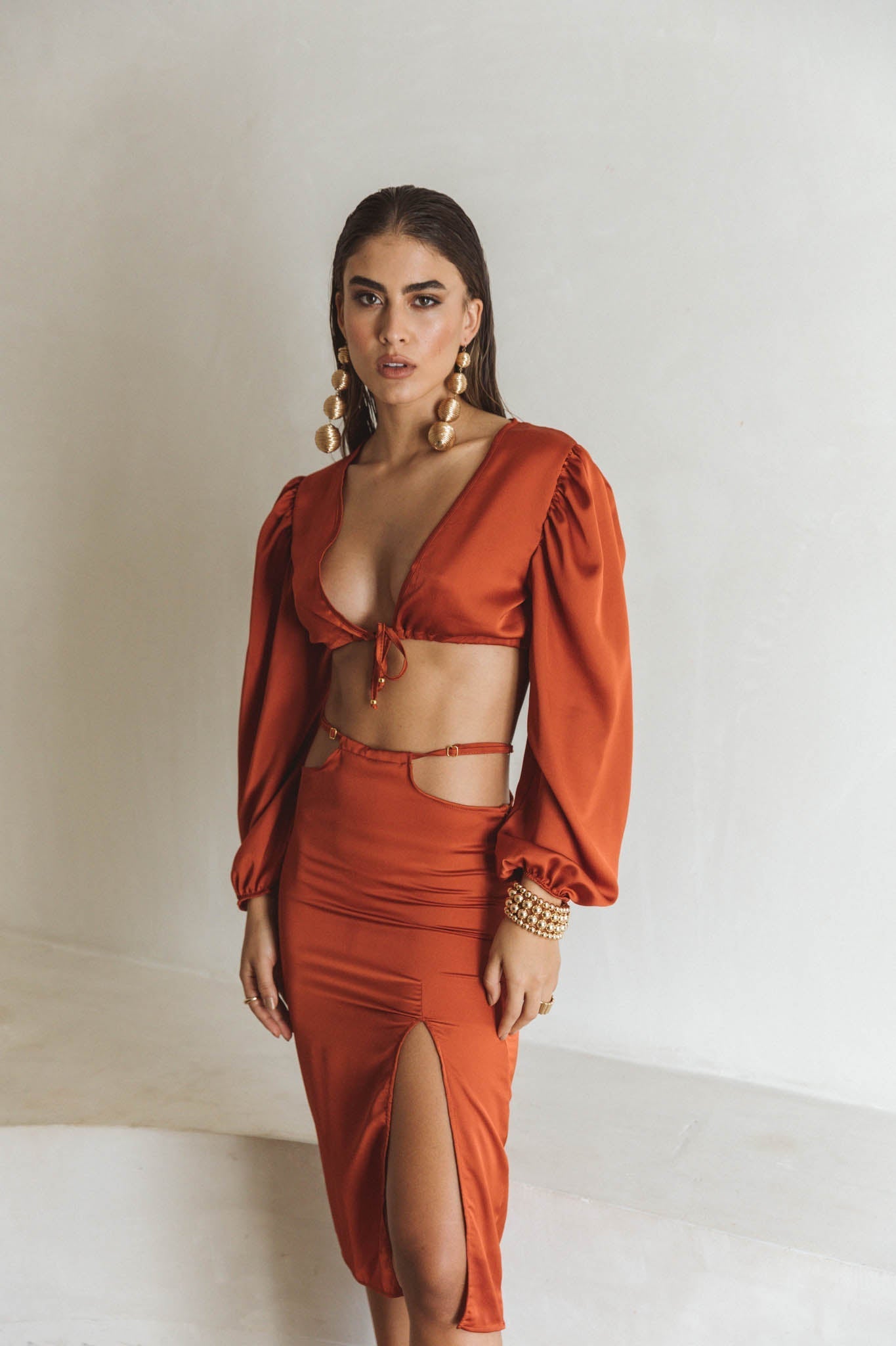 Jenna Long Sleeve Terra Crop Top